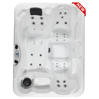 Kona PZ-535L hot tubs for sale in hot tubs spas for sale Corpus Christi